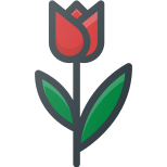 Tulip icon