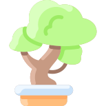 Bonsai icon