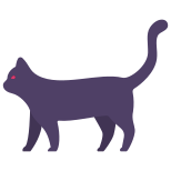 Gatto nero icon
