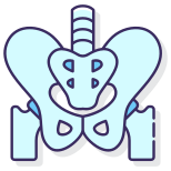 Pelvis icon