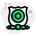 Medal for the Homeland security with shield and circle icon