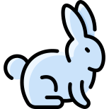 Bunny icon