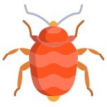 Bed Bug icon