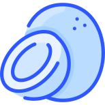 Noce di cocco icon