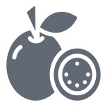 外部パッションフルーツと野菜のソリッドデザインサークル icon