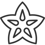 Carambola icon