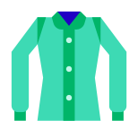 Womens Shirt icon