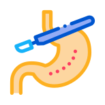 Stomach Sample icon