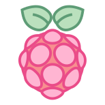 Raspberry Pi icon