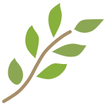 Branch icon