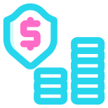 Money Security icon