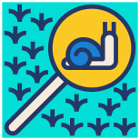 Escargot icon