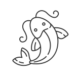 锦鲤 icon