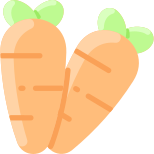 Carota icon