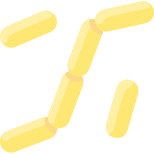 Bacteria icon