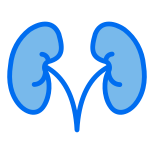 Kidneys icon