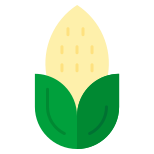 Corn icon