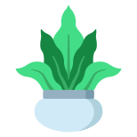 Fern icon