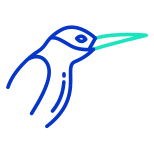 Humming Bird icon
