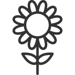 Girasole icon