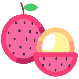 Lychee icon