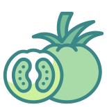 Tomato icon