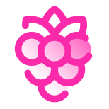 Framboise icon