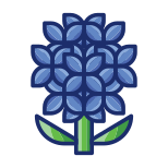 Hydrangea icon