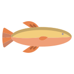 Fish icon