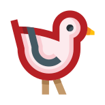 Passero icon