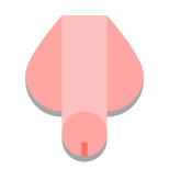 Penis icon