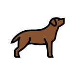 Labrador Retriever icon