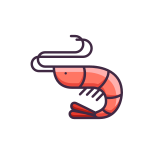 Prawn icon