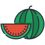 Water Melon icon