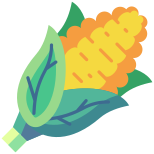 Corn icon