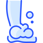 Foot icon