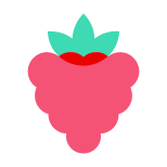 Raspberry icon