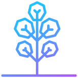 tree 10 icon