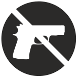 Gun icon