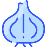 Cebola icon