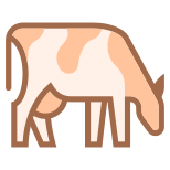 Cow Breed icon