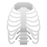 Ribs icon