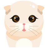 猫 icon