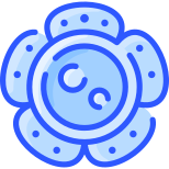 Rafflesia icon