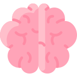 Brain icon