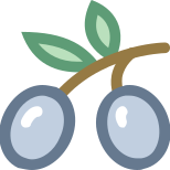 Aceituna icon