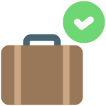 Accepted Luggage icon