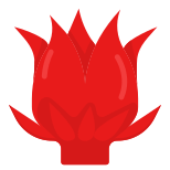 Hibiscus icon