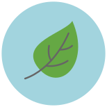 Leaf icon