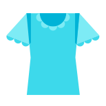 Womens Blouse icon